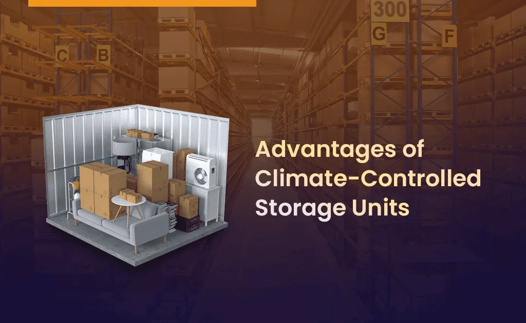 Advantages of climate controlled storage units in the UAE