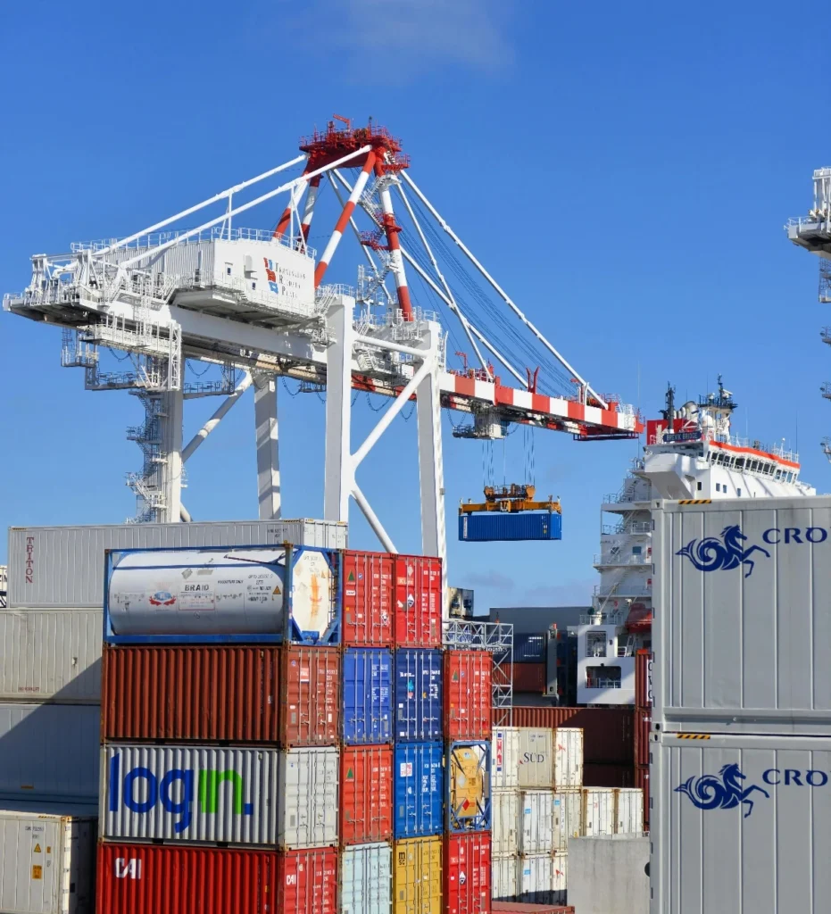 A yard of hundreds of containers in the UAE for Customs clearance